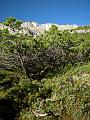 20080705_teuri 017